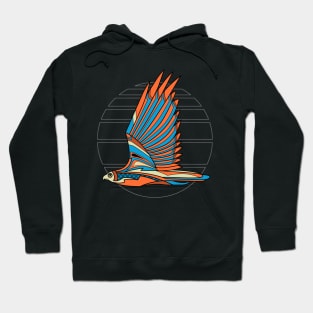 Hawk Deco 3 Hoodie